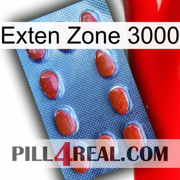 Exten Zone 3000 06.jpg